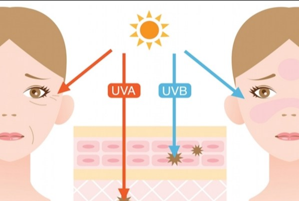 美容设备公司赛诺龙引进中国的e光技术?