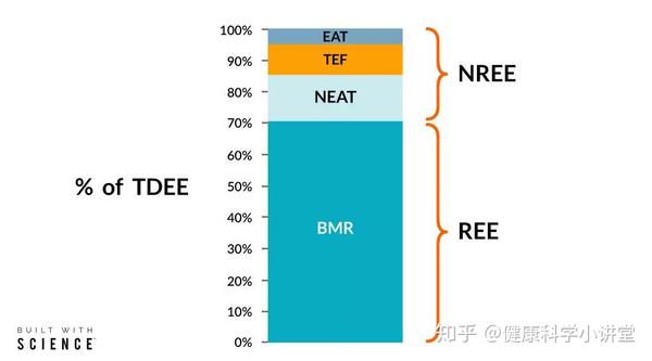 提升基础代谢不是所有人的减肥捷径