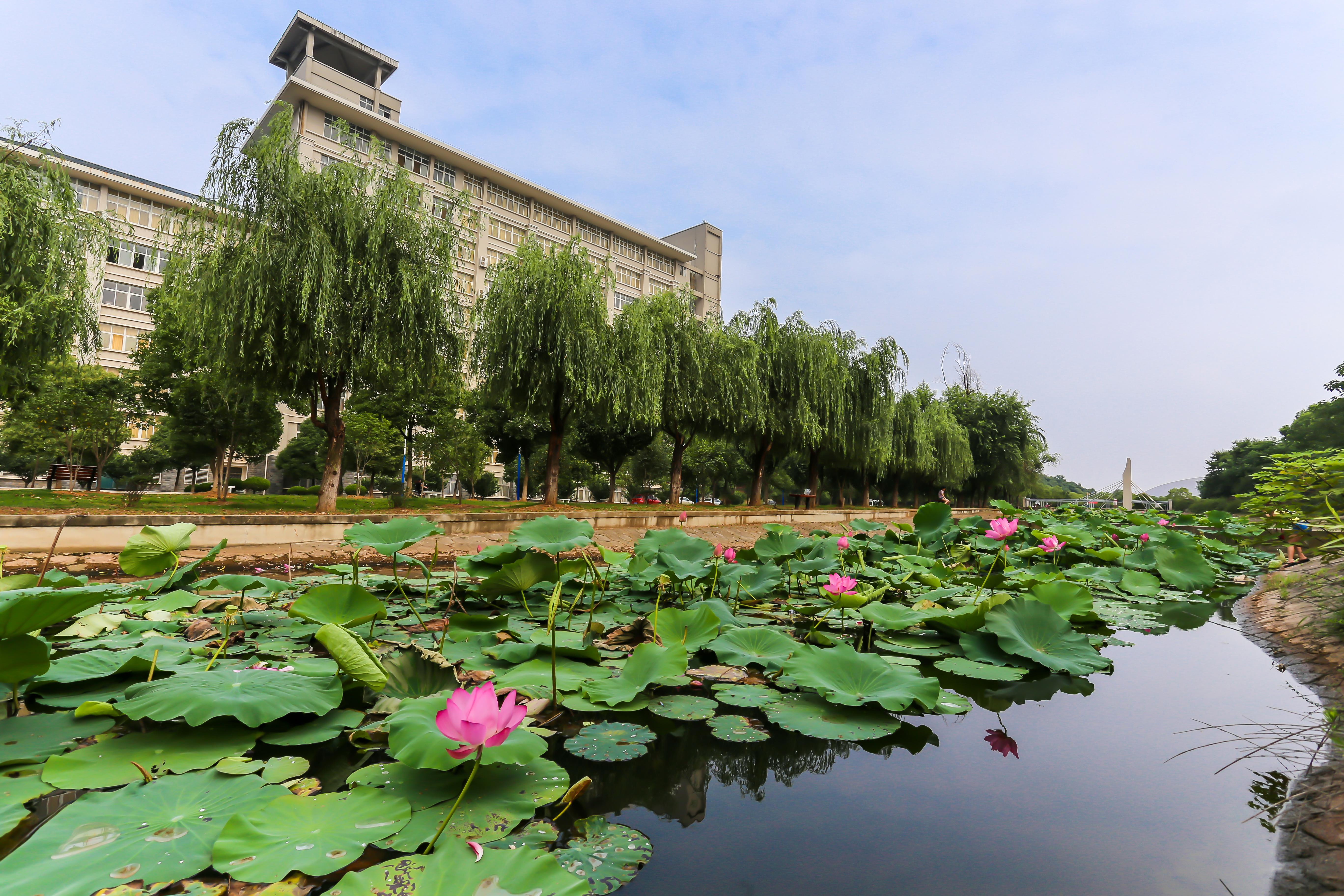 在武漢東湖學院武漢大學東湖分校就讀是一種怎樣的體驗