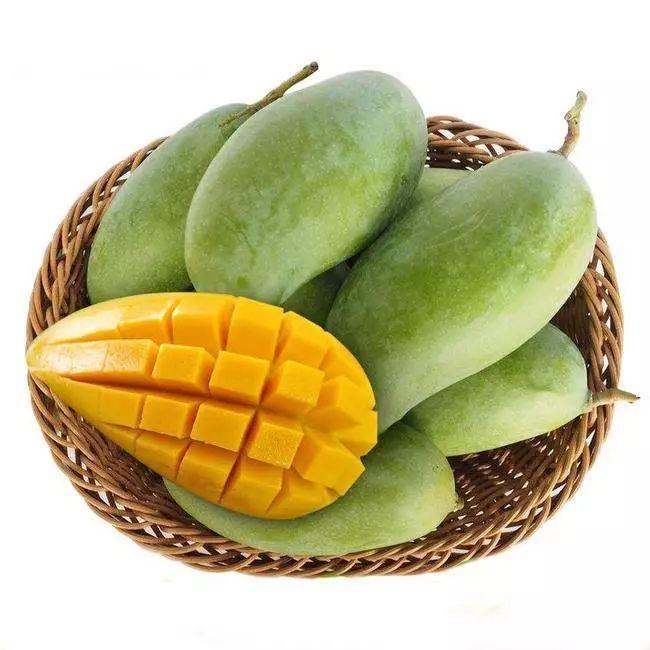 柬埔寨芒果出口增长中国市场备受关注