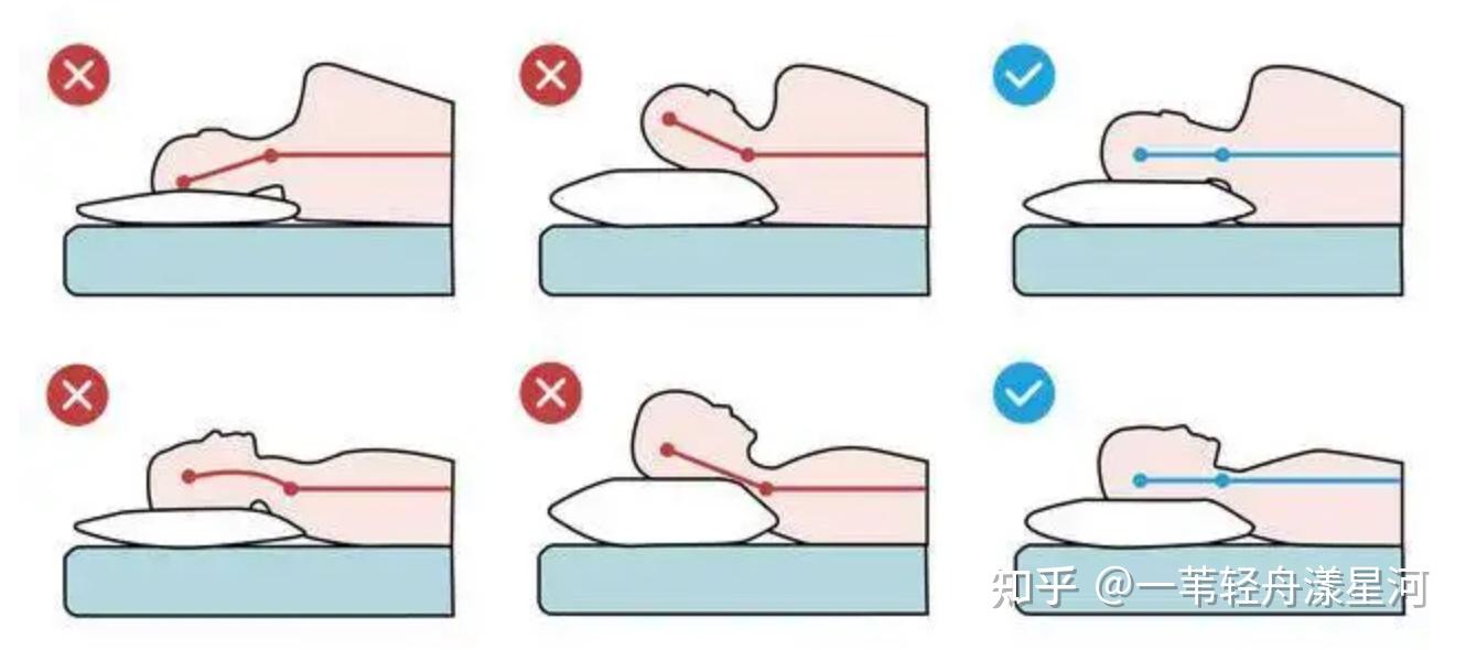 乳胶枕,羽绒枕,记忆枕,荞麦枕哪个材质好? - 知乎