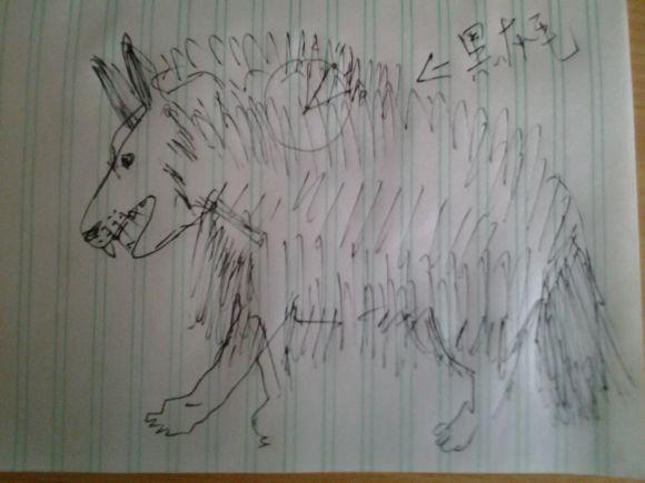 童年回忆里这个剥皮的和我见到的马狼体格差不多,马狼毛更长,蓑衣一样