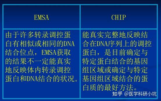 一文搞定CHIP - 知乎