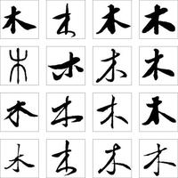 木材识别基础(二)——导管 - 知乎
