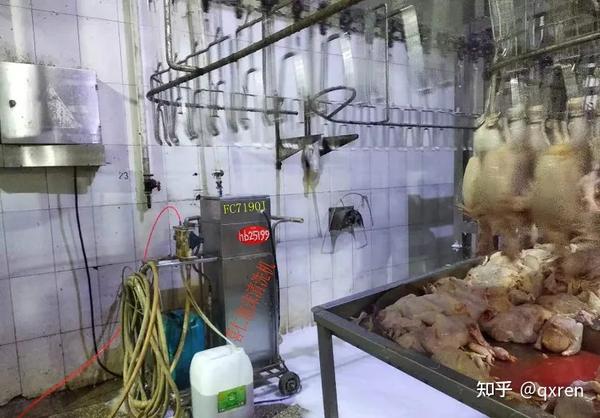 食品辐照加工工艺国际推荐准则英语_面包加工过程中的食品安全隐患_食品加工器械