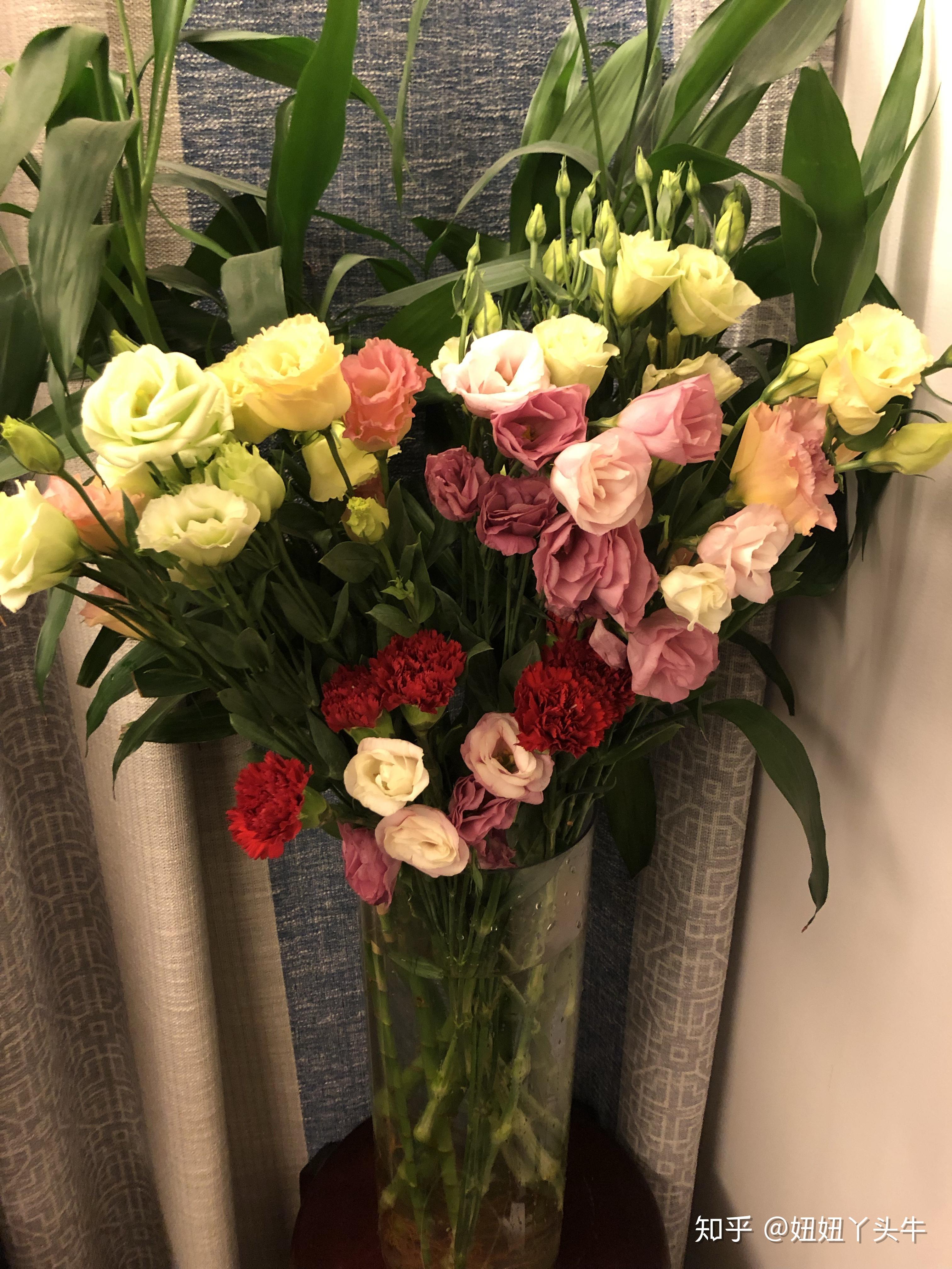 家里摆放鲜花费钱吗