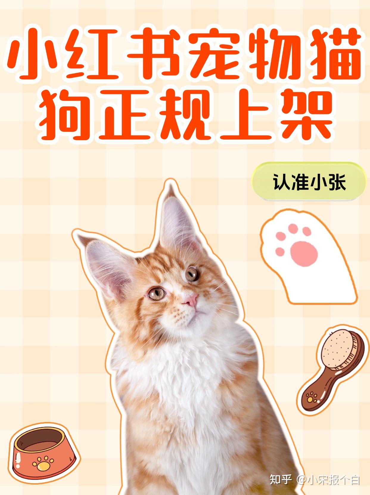 小红书活体宠物类目怎么开通? 报白申请入口 - 知乎