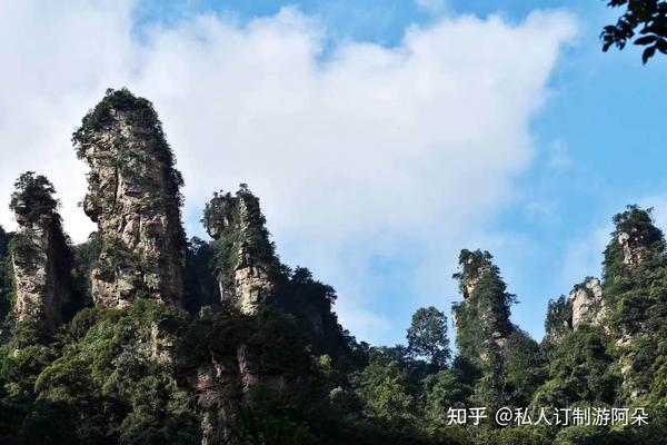 张家界有没有什么好的公众论坛或者信息港什么的,想了解点咨询.()