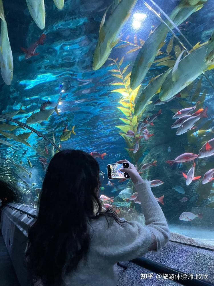 怎么玩的省心省力还省钱——超省心的辽宁大连自由行攻略!