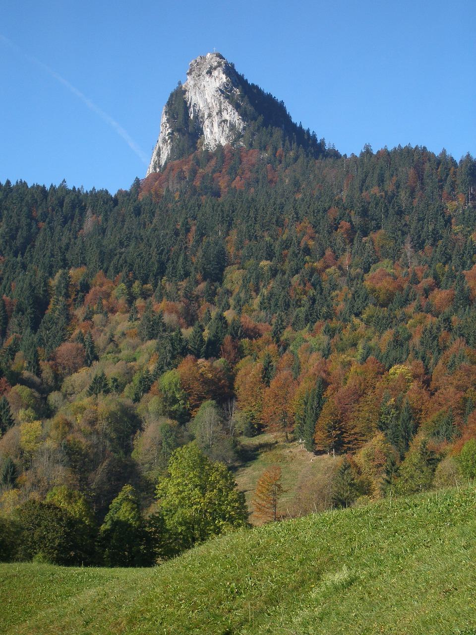 3. 中式庭院设计