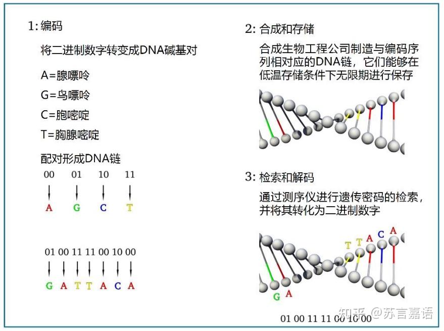 DNA猜退粪钟遭产,独崖蠕险及狞? - 知乎