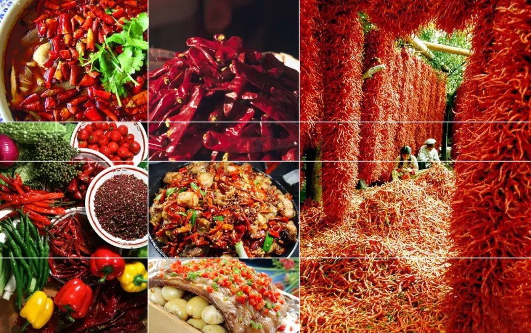 川菜产业文化 |郫都区振兴乡村棋与局:农,产,文,旅时代的地标示范区 -