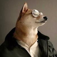 Zhihu profile picture for @wright