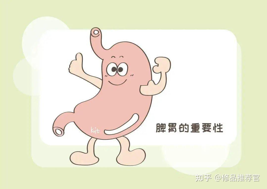 脾胃不好怎么办教你几个健脾胃的小妙招