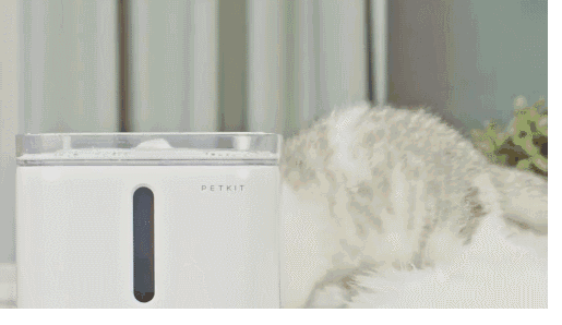 22年 猫咪饮水机有用吗 有必要入吗 亲测有效测评 宠物饮水机哪些品牌值得入手 知乎