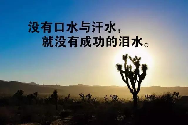 v2-8b41444e9810d06c64a65b703390668c_1440w.jpg?source=172ae18b