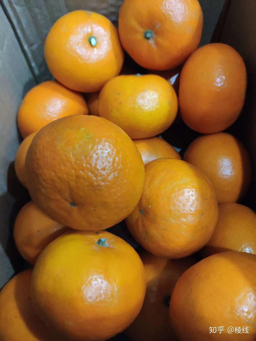 吃什么水果补Vc最好?