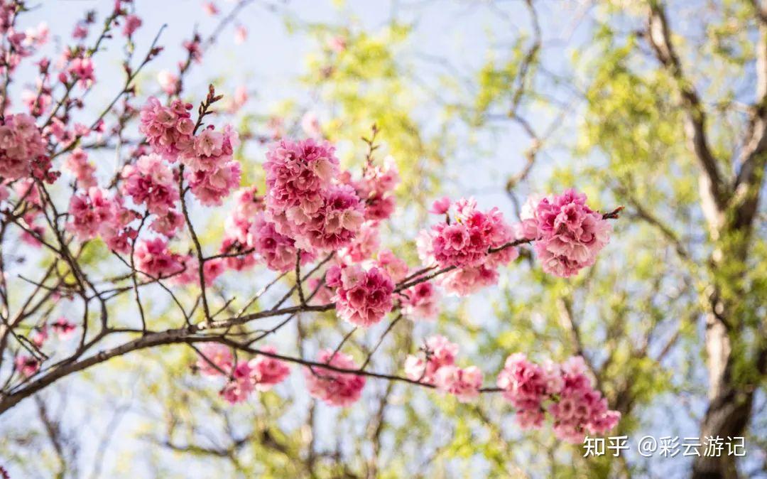 去云南大理,5 天行程,有哪些优质路线推荐?-去云南大理的攻略