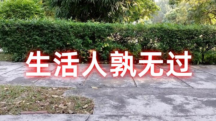 生活不易人孰无过,犯的不是大错就是收获,允许事与愿违无怨无悔 - 知乎