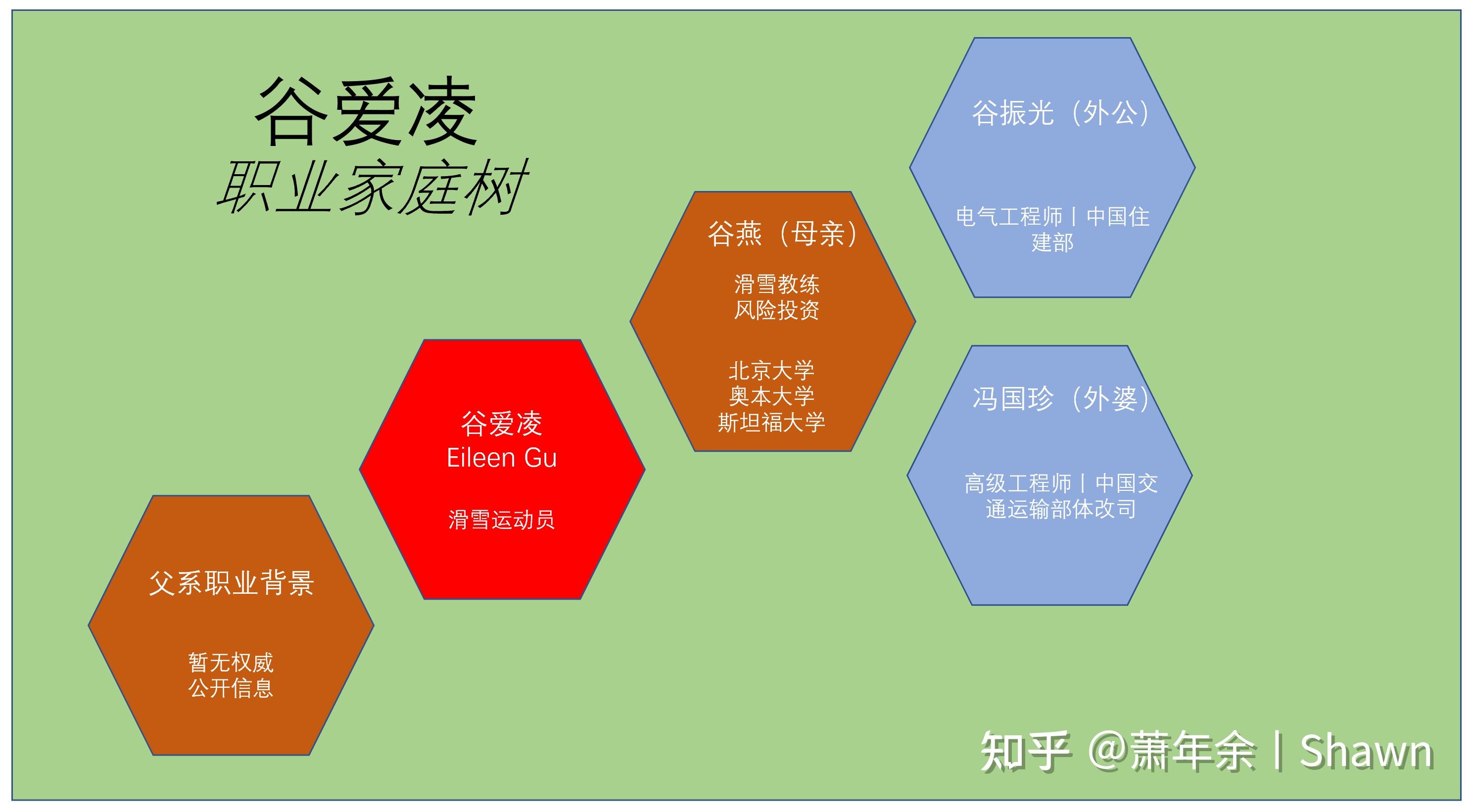 家庭职业树范本图片