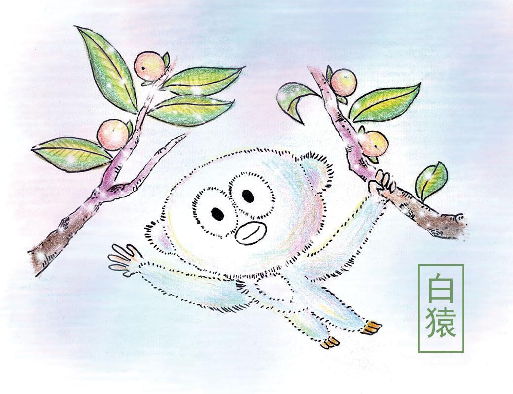 猿分不浅趣涂山海经之白猿