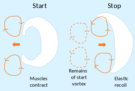 蛇是脊椎动物还是不是脊椎动物 v2-8b6c13ec15bebdd7025a28fbc017299c_r.jpg