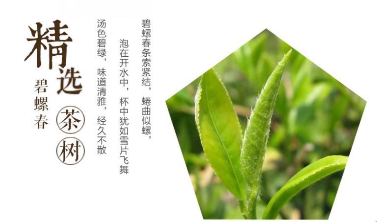 苏州洞庭碧螺春会在2019年飞起来吗? - 知乎