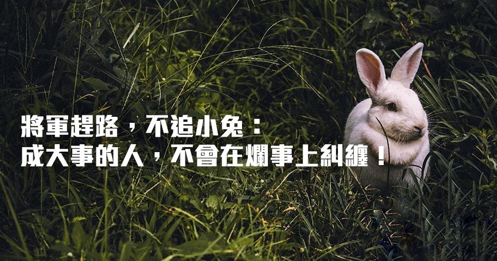 将军赶路不追小兔