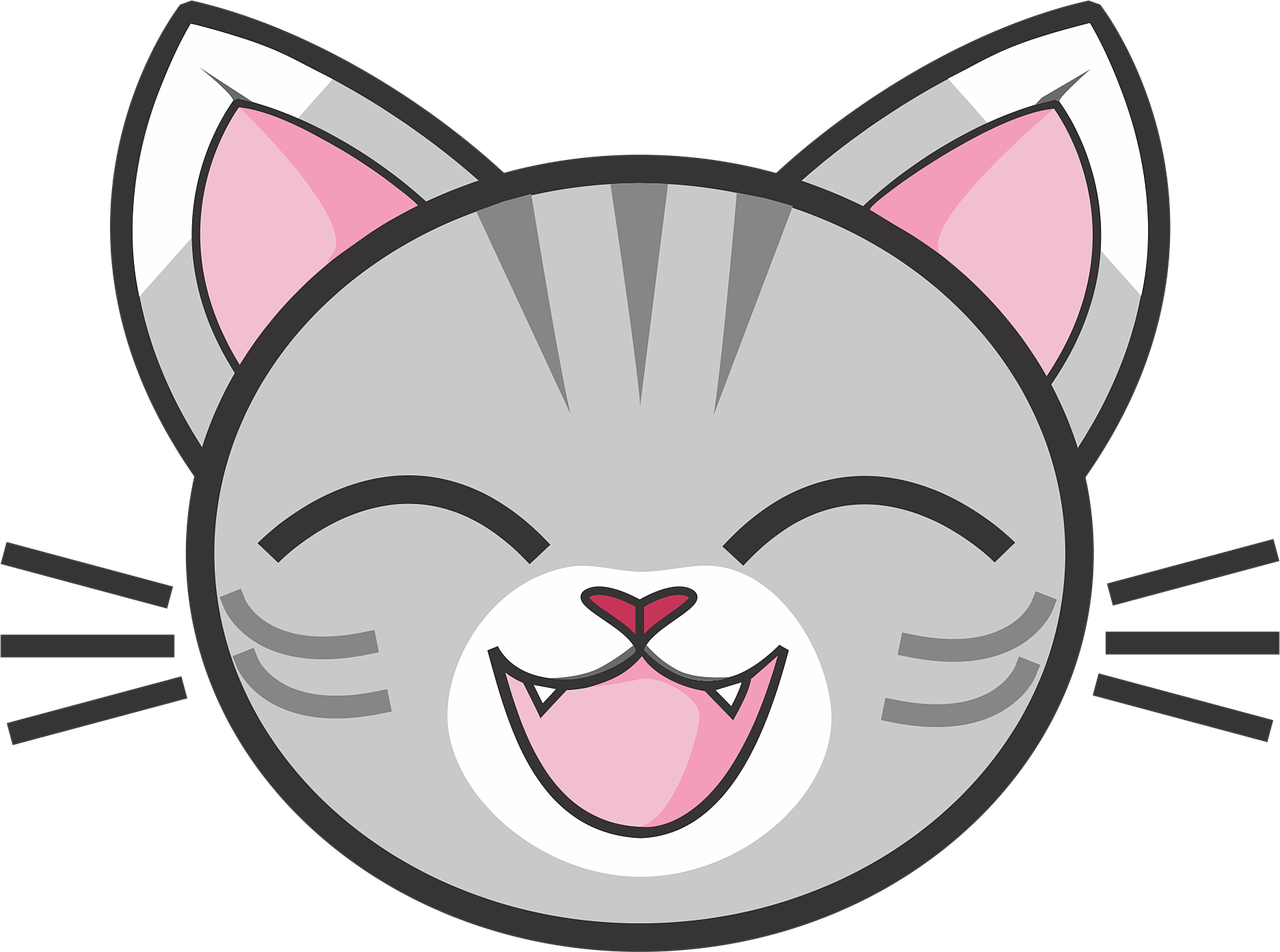 2. 虎斑楝木用途