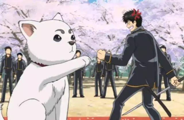 如果银魂里没有新八的吐槽银魂会变成什么样