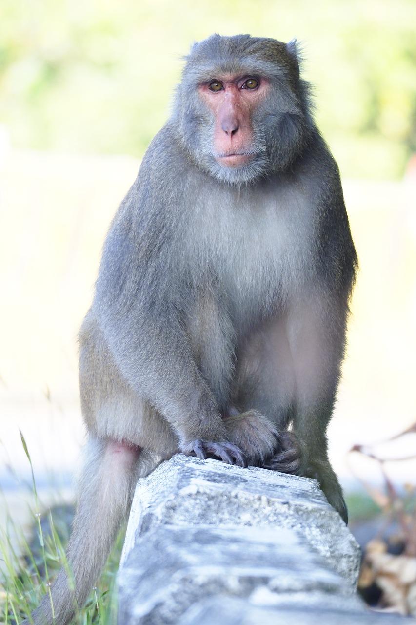 沁阳翡翠名居怎么样