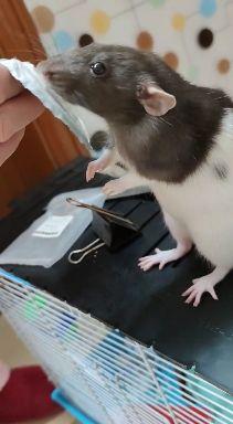 v2-8b77d5378508296bda7bfbc85921bb30.jpg?source=1940ef5c