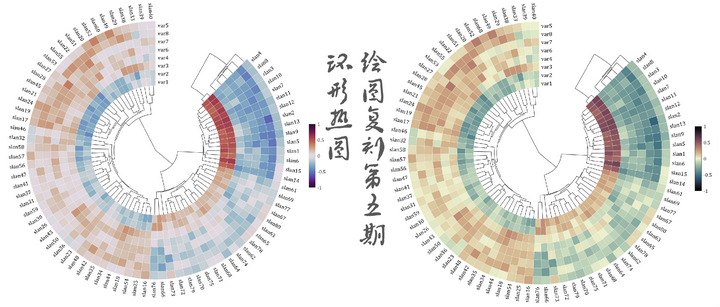 MATLAB | 绘图复刻(五) | 带树状图的环形热图 - 知乎