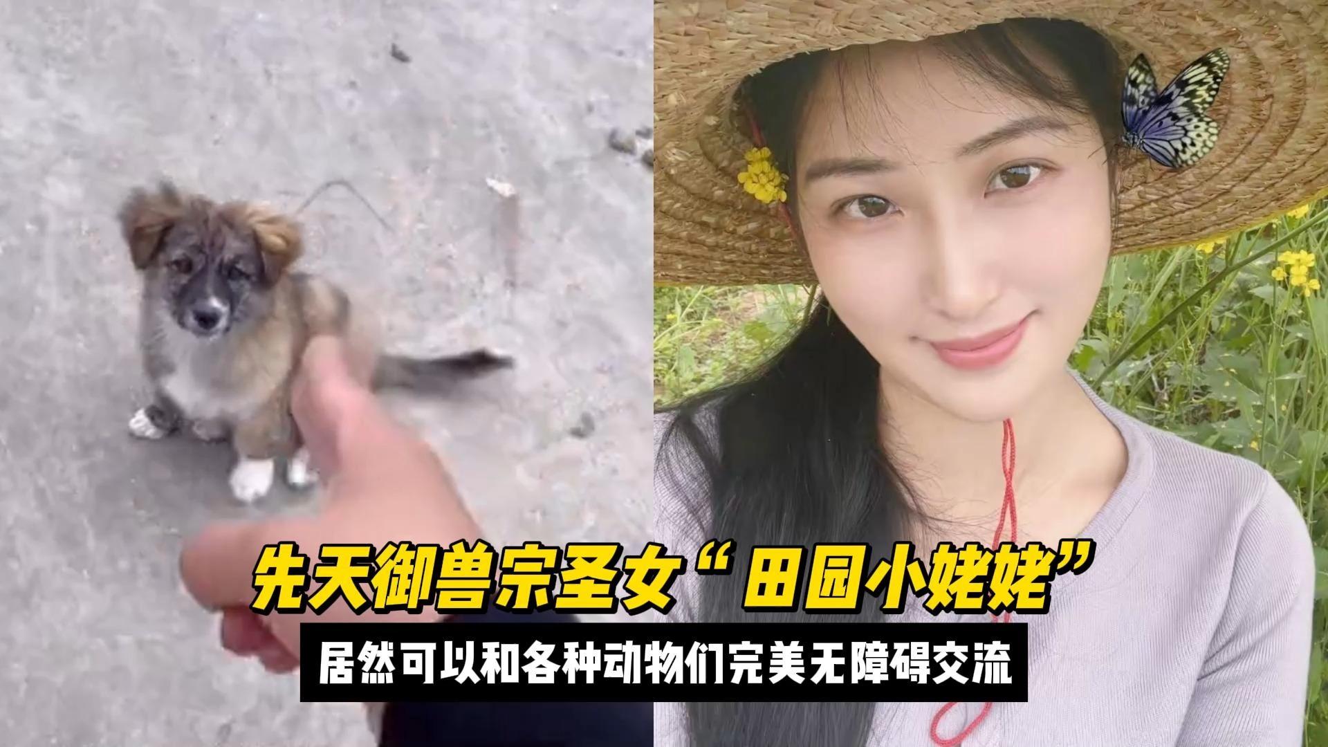 先天御兽宗圣女田园小姥姥居然可以和各种动物们无障碍交流