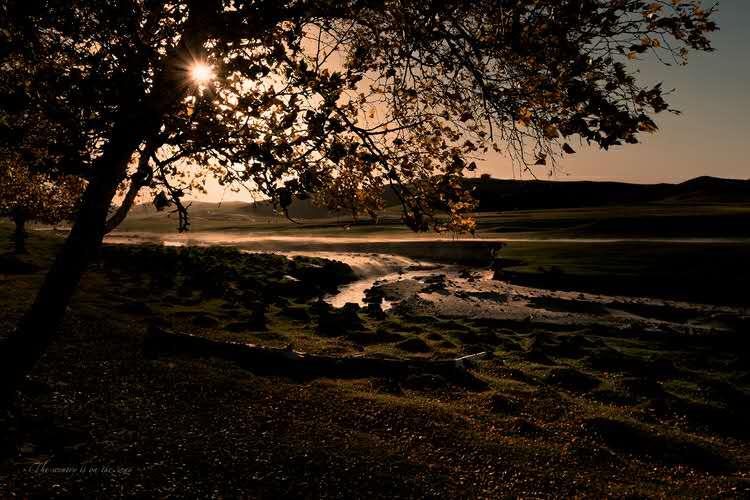 应用场景化设计