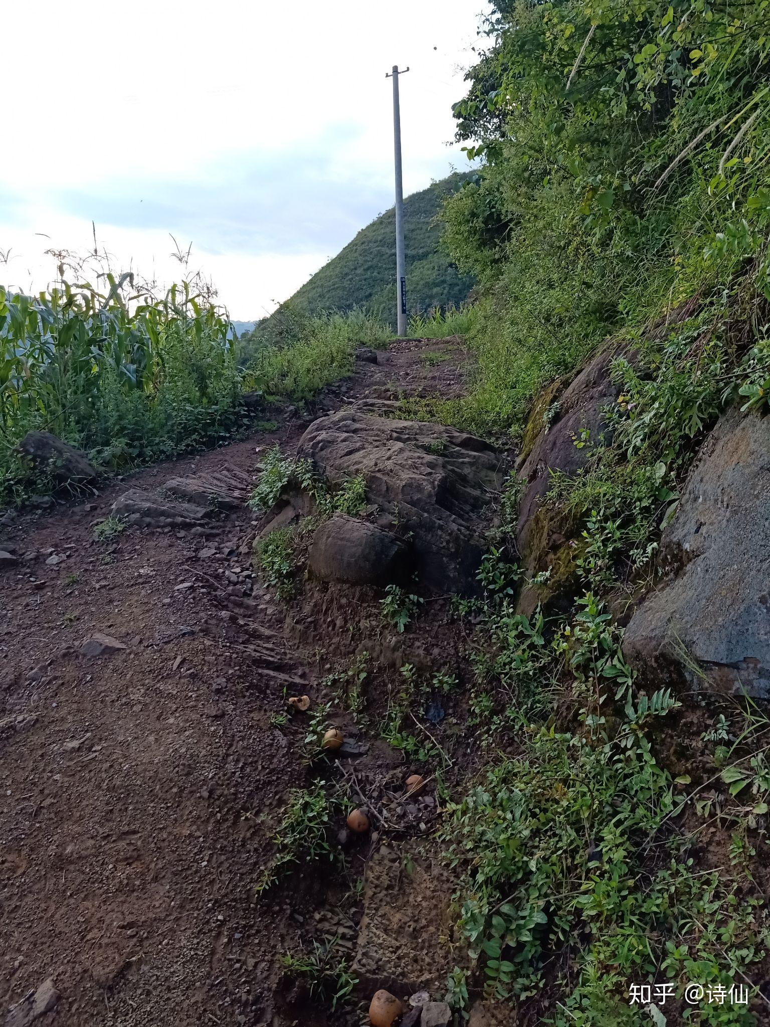 雲南省宣威市倘塘鎮貝古村委會倮麼村道路十分嚴重懷疑人生