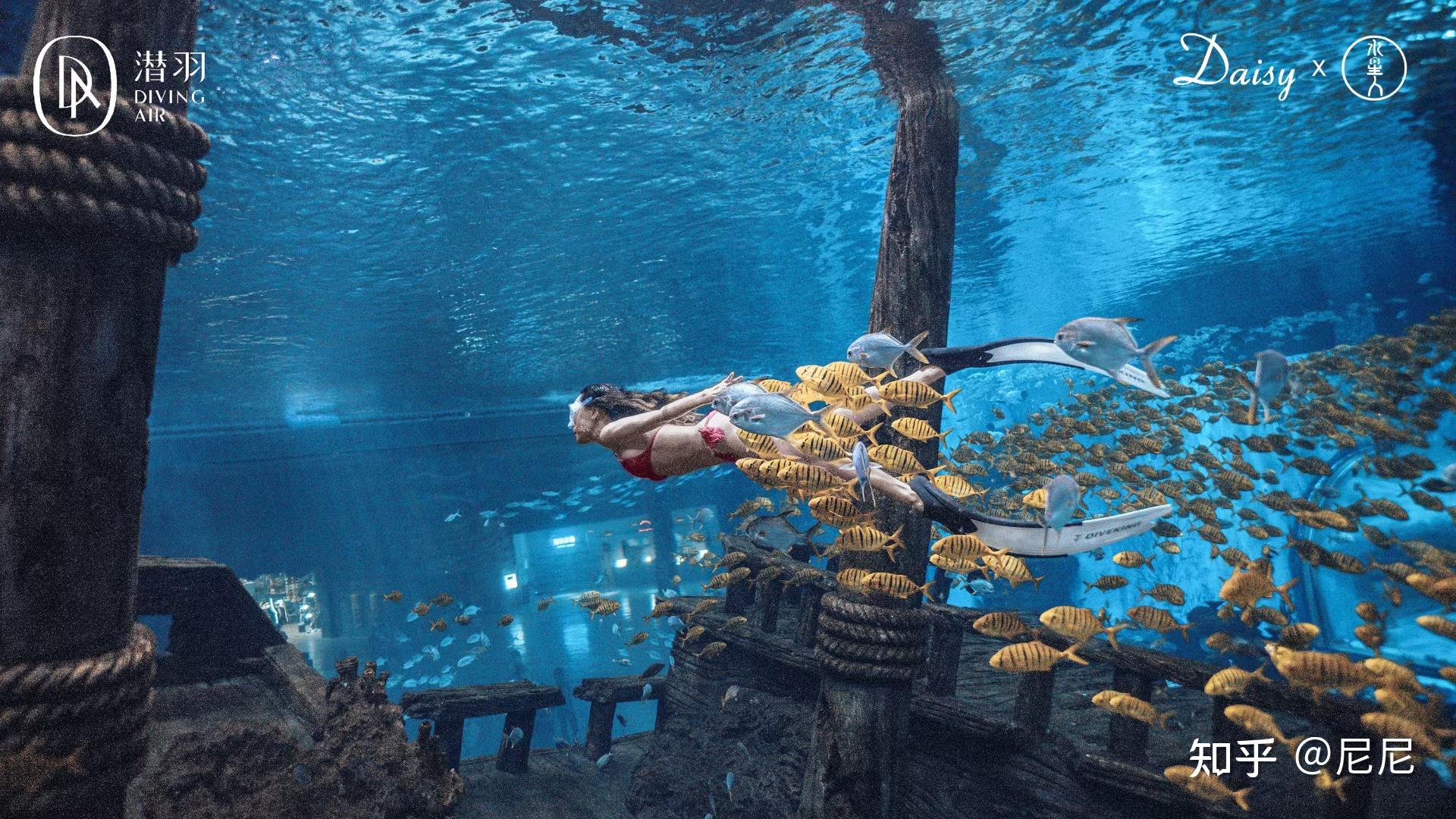 唠嗑式聊聊美人鱼潜水 - 知乎