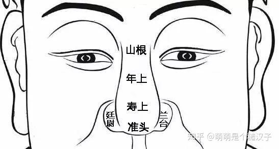 其中鼻脊至两眼中间处,叫山根,主疾厄;鼻的下端叫鼻准(或叫准头),鼻准