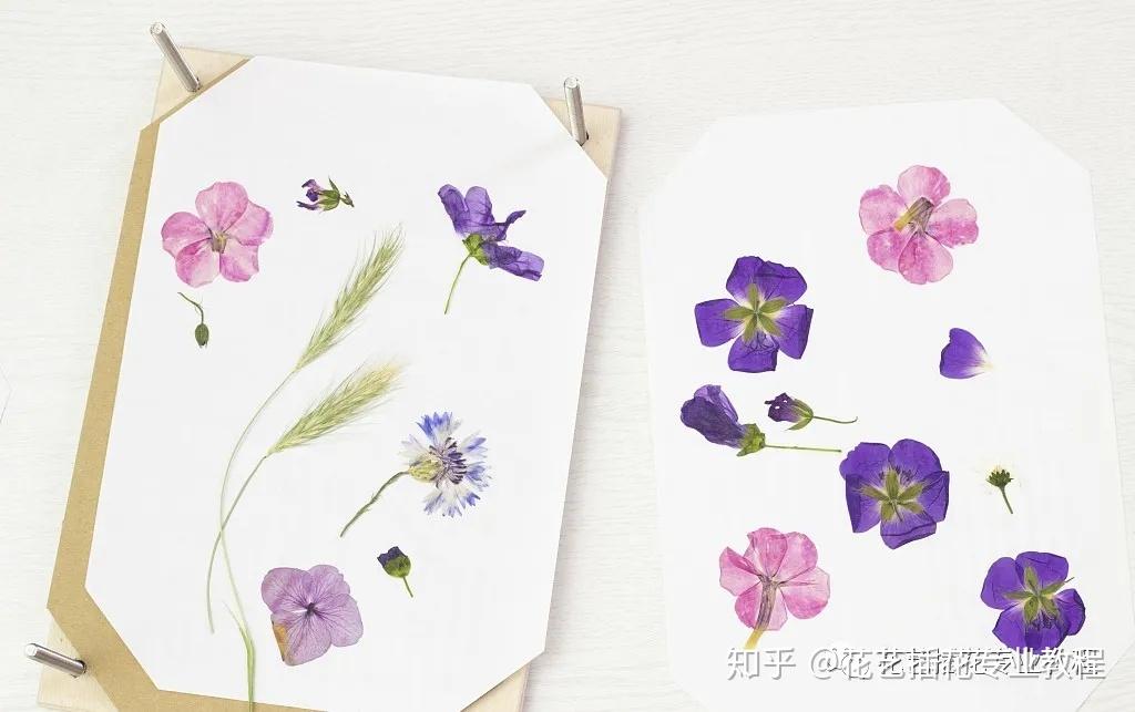 花艺教程|3种方法,学会美妙的压花艺术 - 知乎