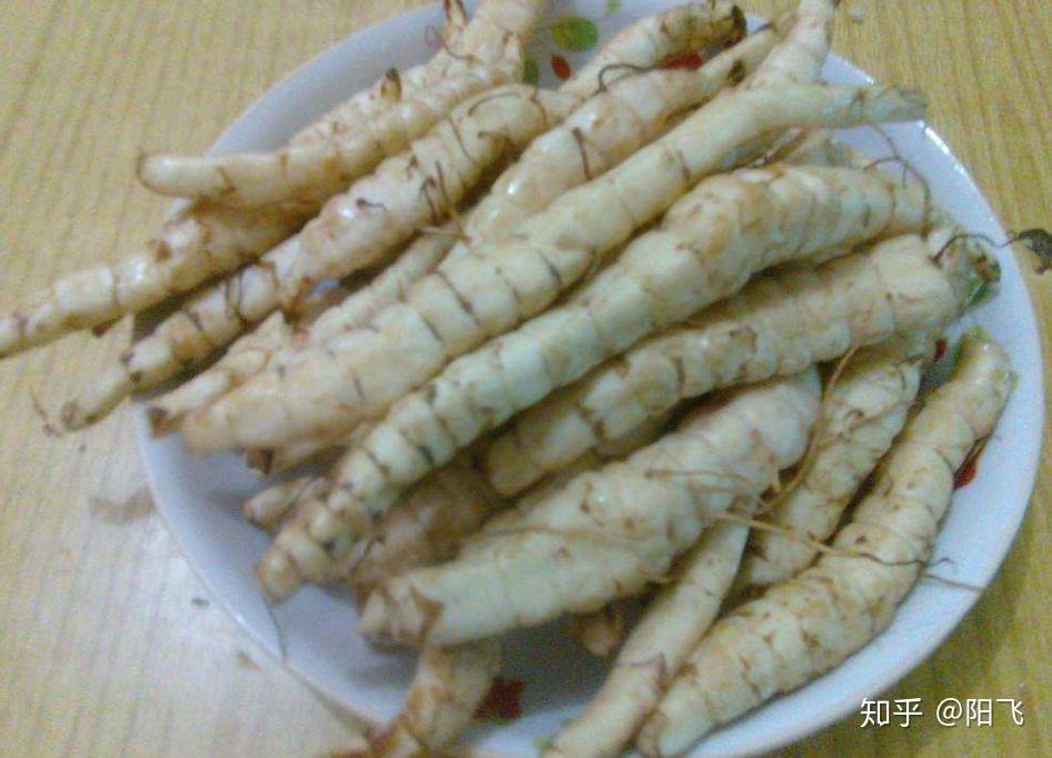 地参对环境要求不严,适应性强,容易人工栽培,并且用途广,市场需求大