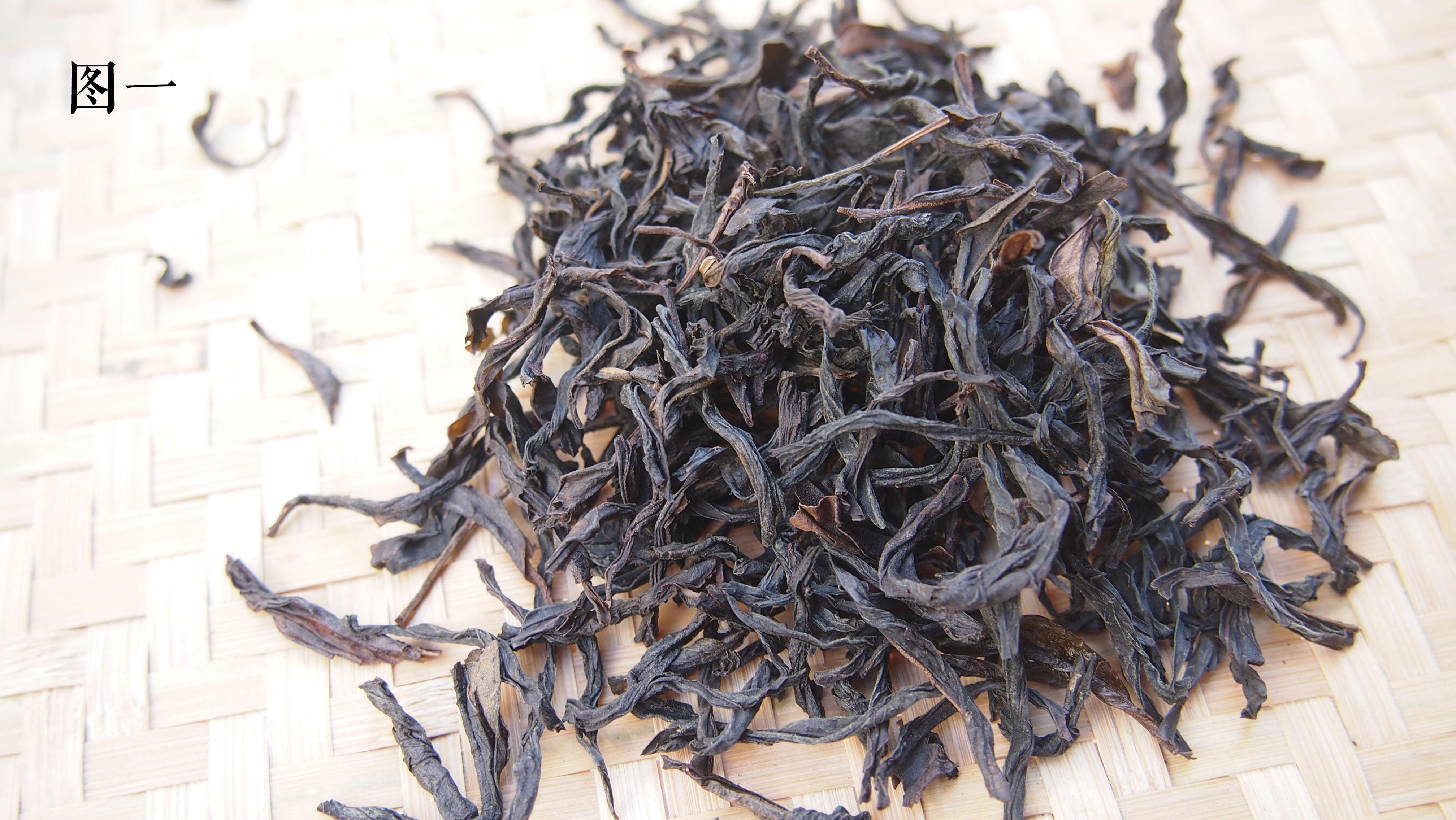 浅谈凤凰单丛之蜜兰香