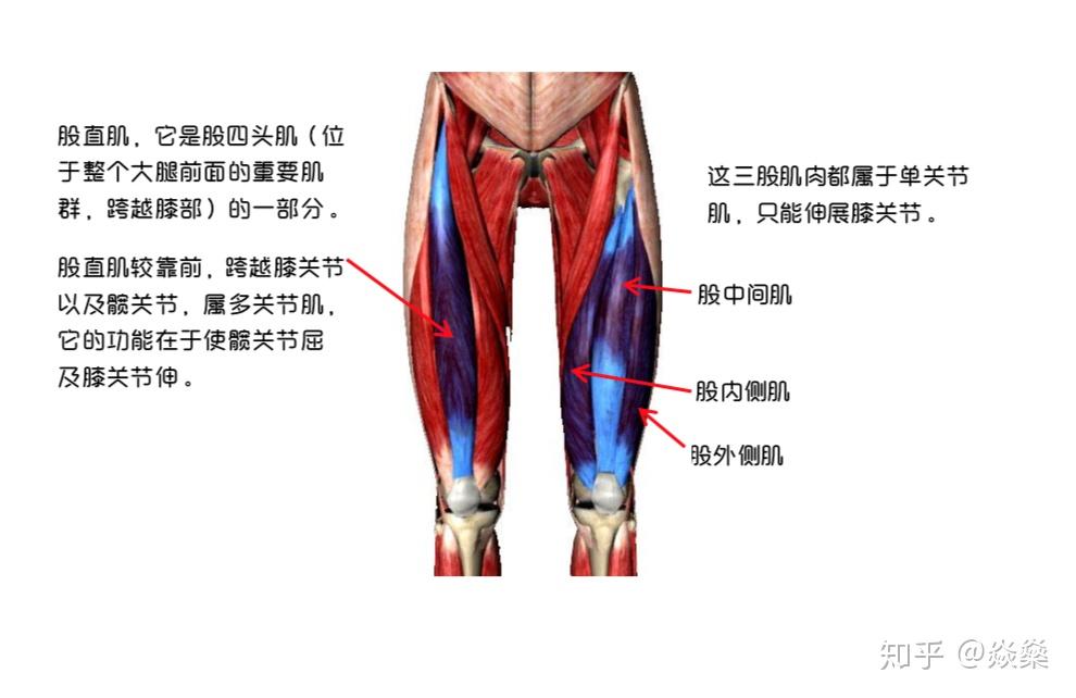坐太久站一会吧