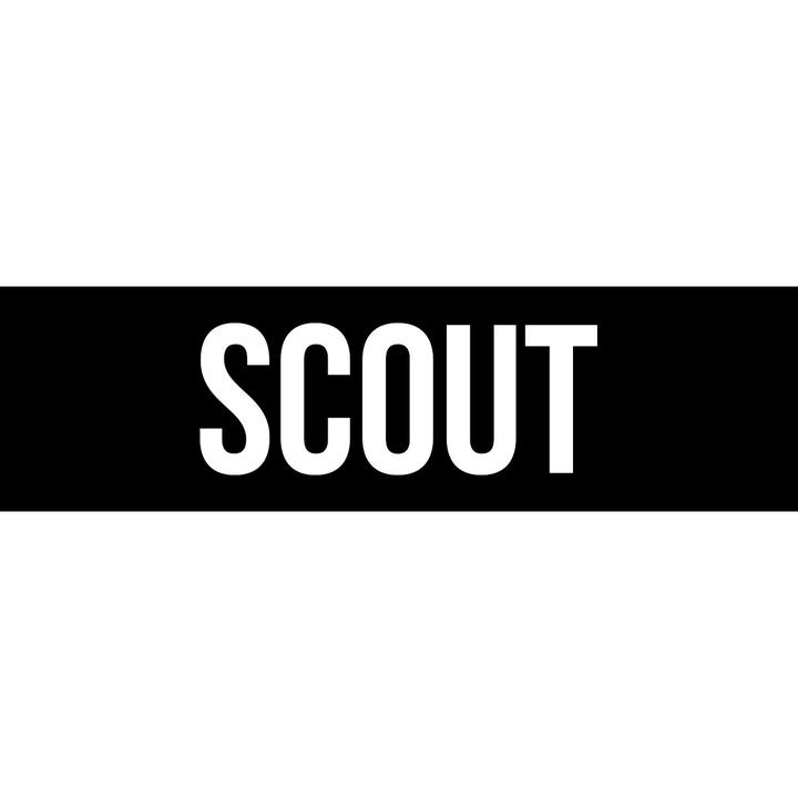 高玩scout - 知乎