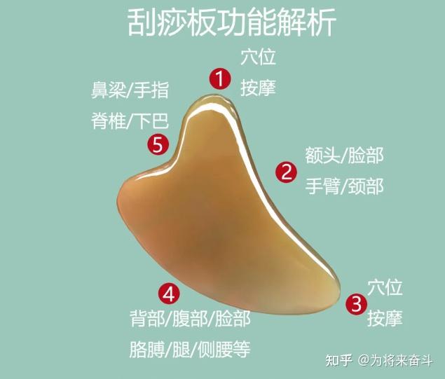 刮痧板功能解析及注意事项分析,搞错伤肌肤 - 知乎
