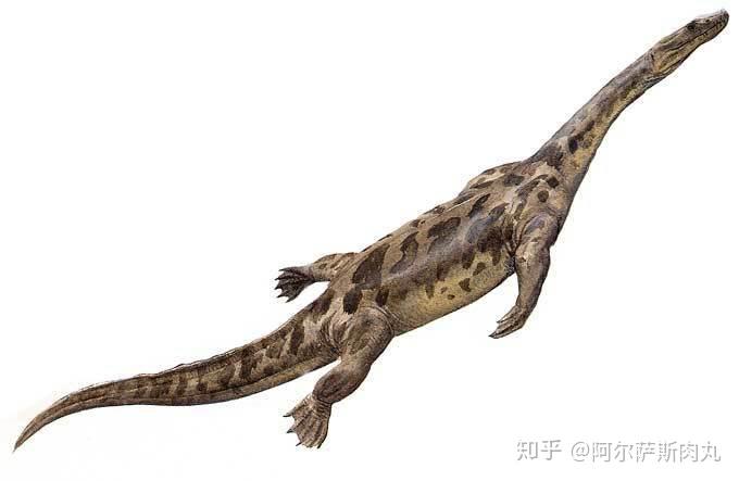 番外丨孽子幻龙目简谈