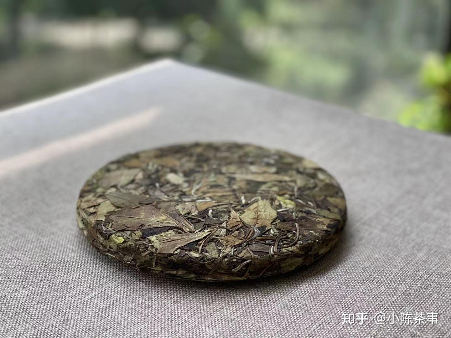 白茶裡究竟是散茶好還是餅茶好兩類白茶一對比真相出來了