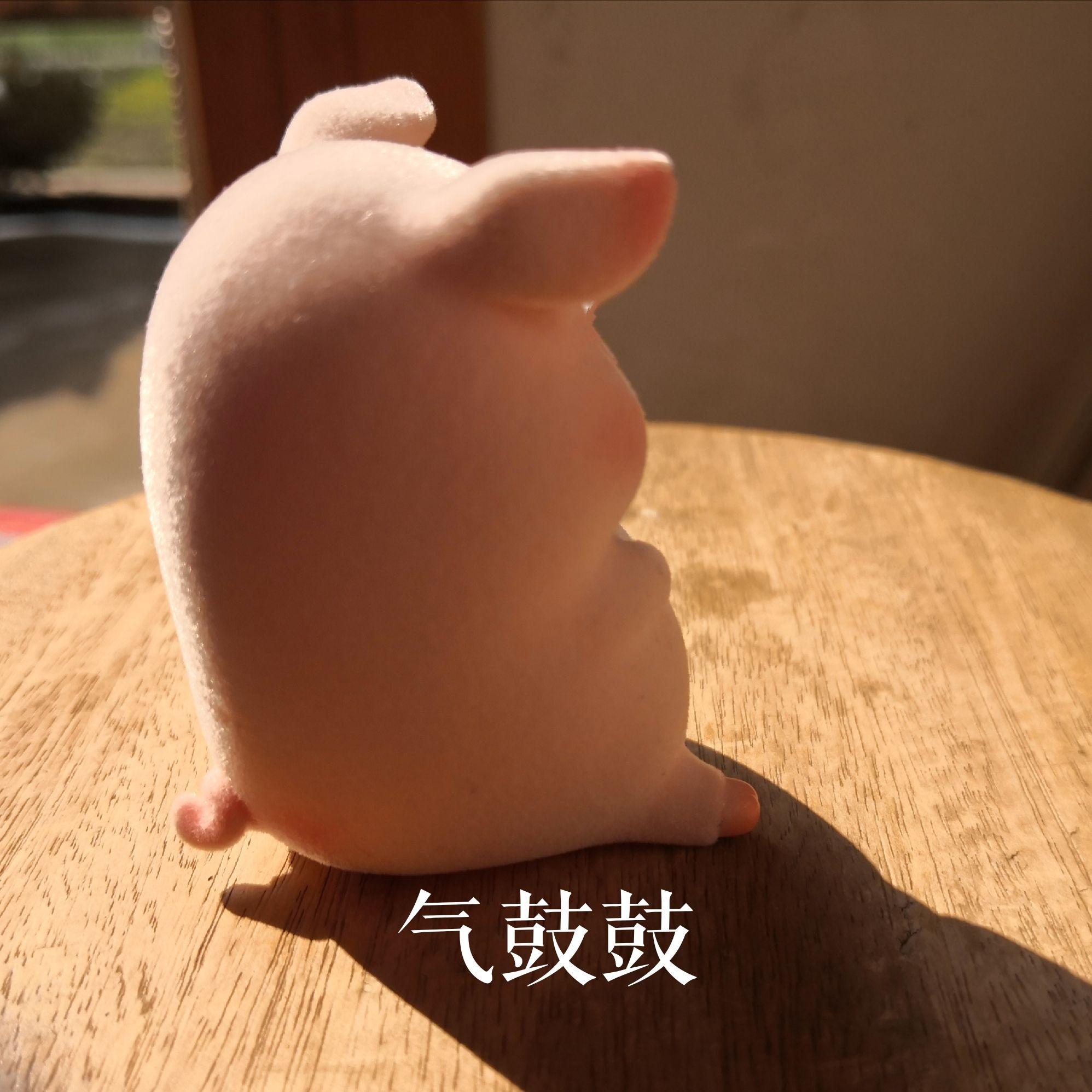 大家有没有lulu猪的表情包呢