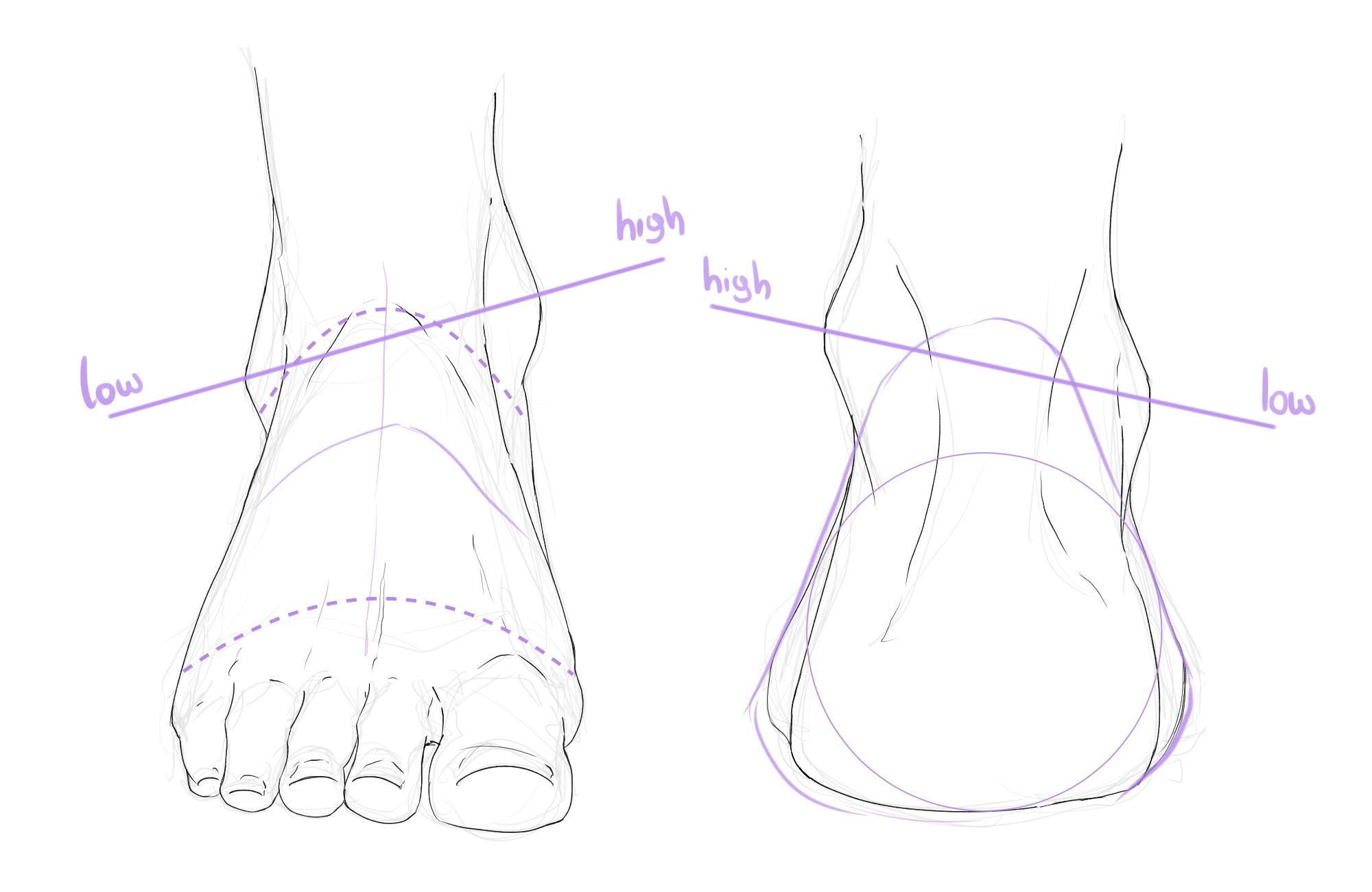 脚的结构图简笔画图片