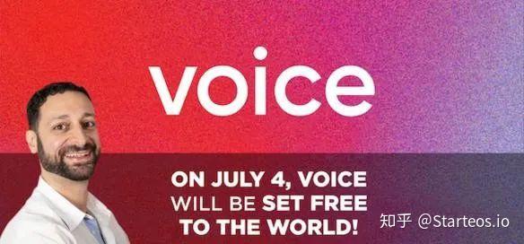 voice到底什么时候上线