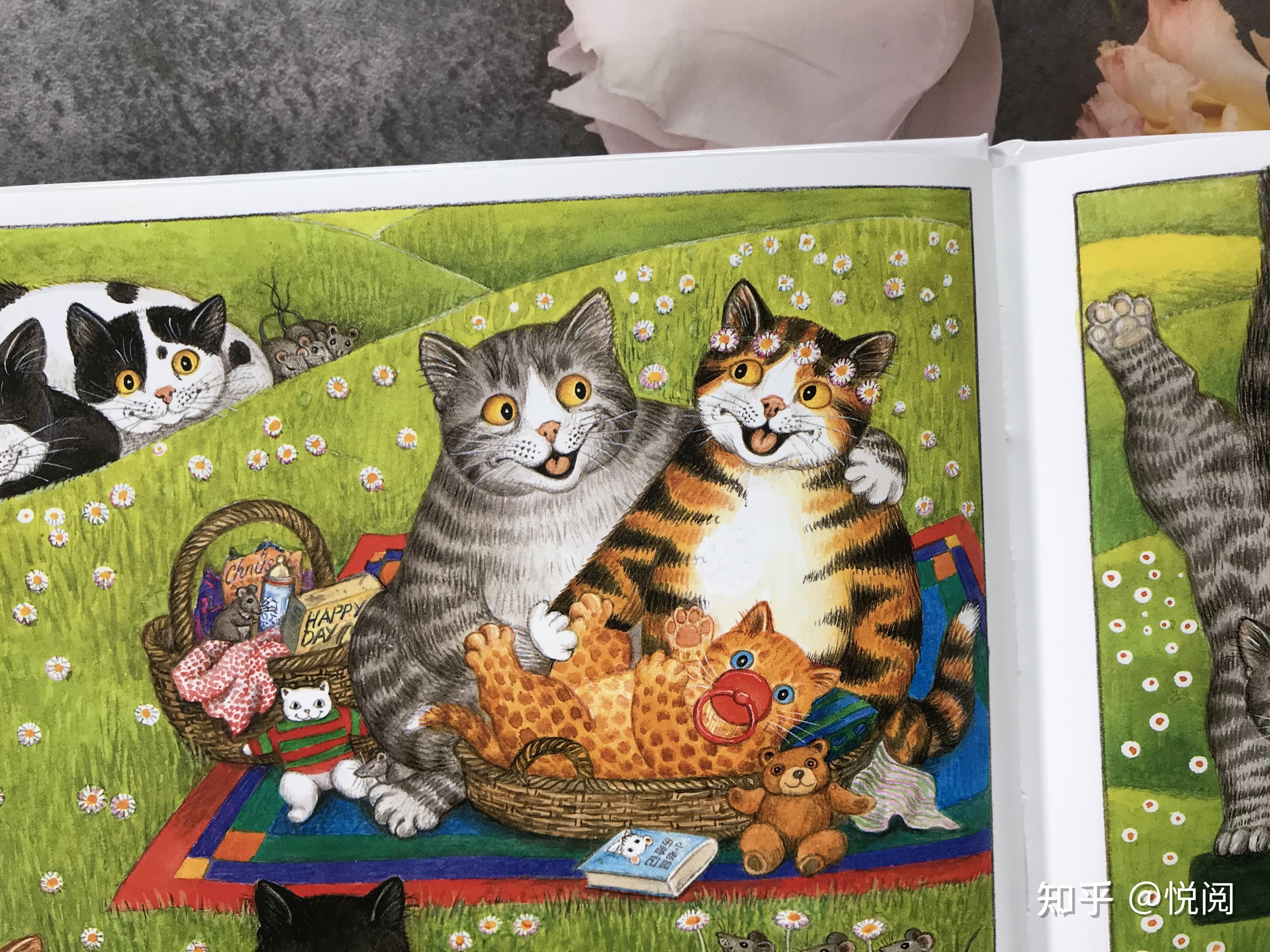 一起读绘本 | 即将绝版 非常治愈:无字图画书《猫》